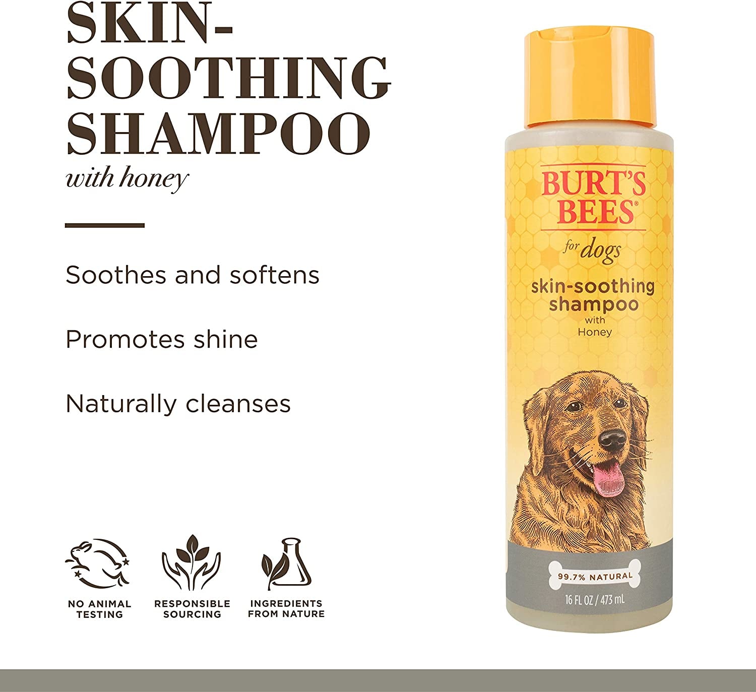 Burt'S Bees for Dogs Natural Skin Soothing Shampoo with Honey - Pet Shampoo for Dogs, Burts Bees Dog Shampoo for Smelly Dogs, Puppy Shampoo, Dog Wash, Dog Grooming Supplies, Dog Bathing Supplies