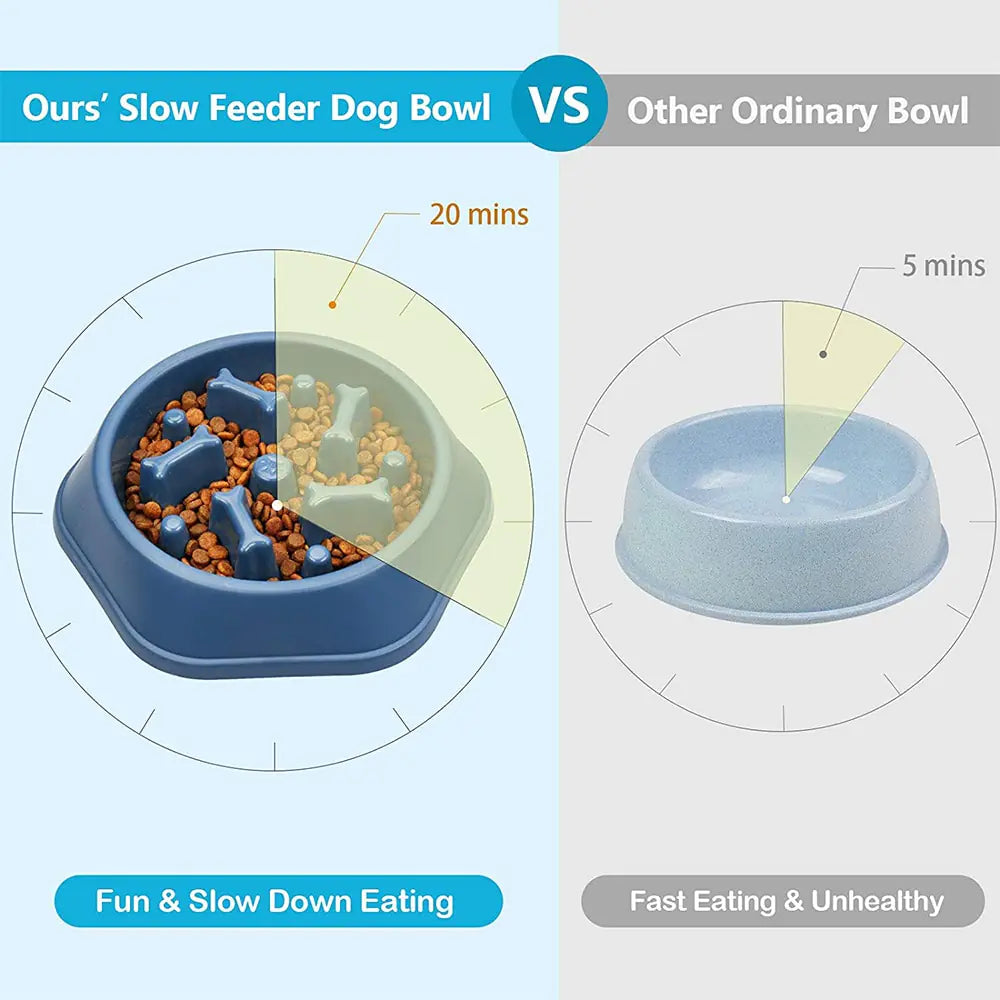 Slow Feeder Bone Design Pet Bowl